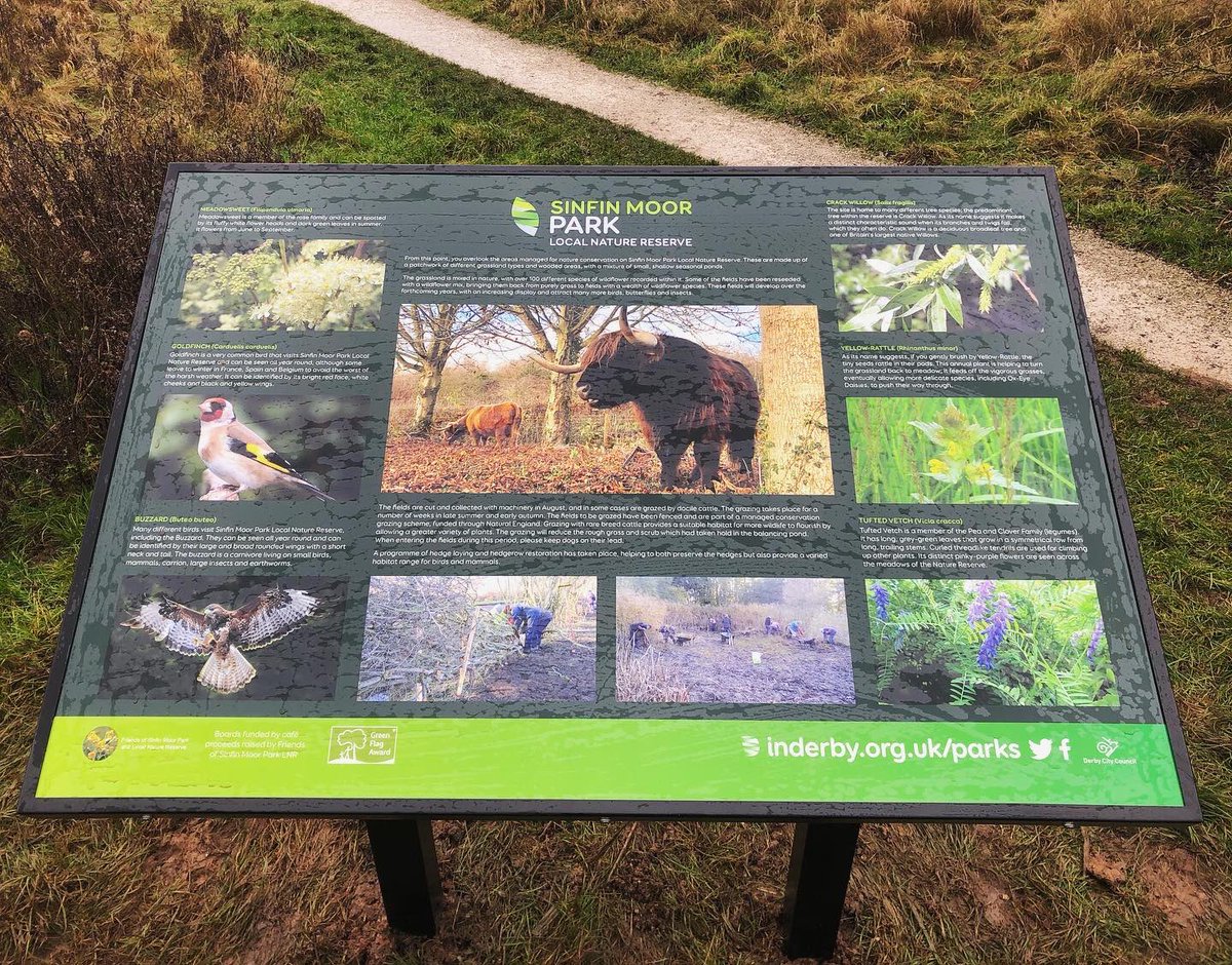 Derby Parks tweet media