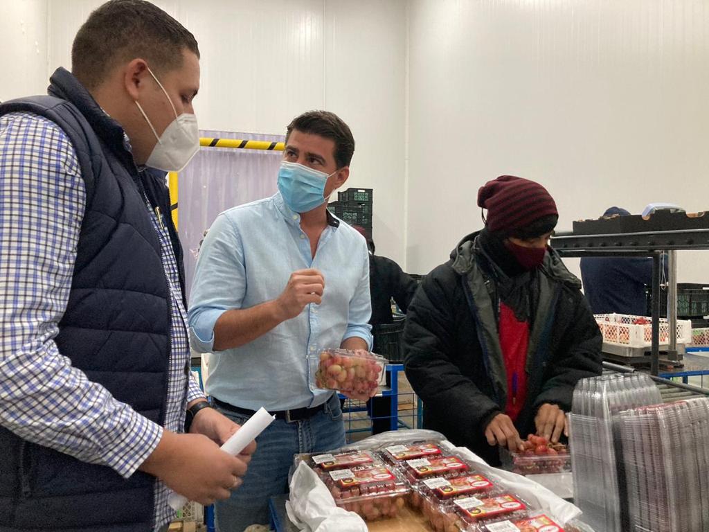 #SantaElena | Ministro <a href="/XavierLazoG/">Xavier Lazo Guerrero</a> y @PatricioAgroEc realizan recorrido por las unidades de producción Agrifrutti y Quilziolli que llevan uva a la Unión Europea, Rusia, Colombia, Qatar y Emiratos Árabes, con altos estándares de calidad, gracias a las #BPAEcuador