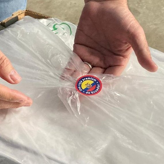 "Estos esfuerzos valen la pena destacarlos, hoy que entregamos estas dos certificaciones #BPAEcuador, son fruto de una producción de calidad, todo esto permitirá que le uva ecuatoriana siga llegando a más mercados en el mundo" @PatricioAgroEc