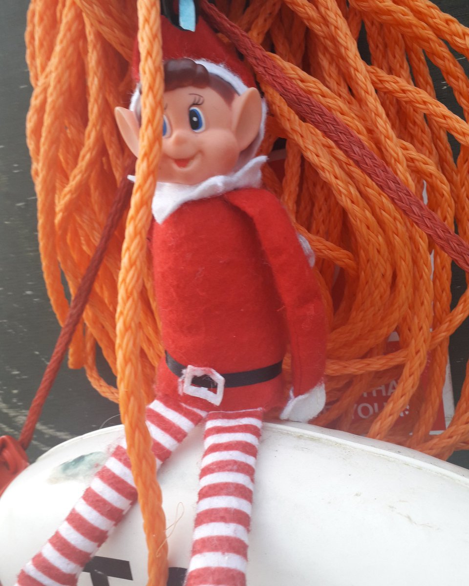 Having a rope of a time! #wheresharry #ElfOnTheShelf #Henley