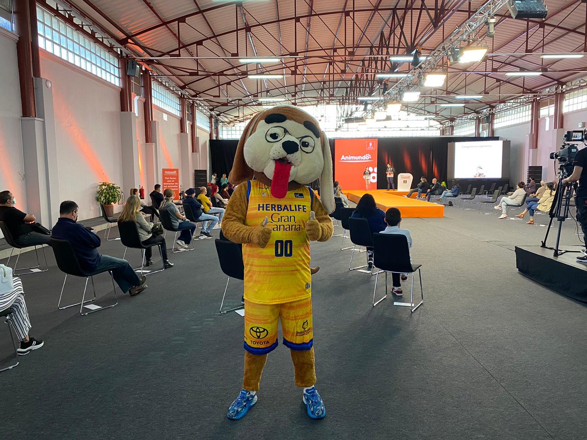 GranCanariaCB's tweet image. ¡Granky es el primero perro en desfilar por la pasarela de #Animundo! Él no está en adopción porque ya tiene casa, pero muchos de sus amigos aún no la tienen. Ven y adopta a un nuevo miembro de la familia 🐶

🔹 Tenencia responsable 
🔹 Abandono cero 
🔹 Hábitos de vida saludable