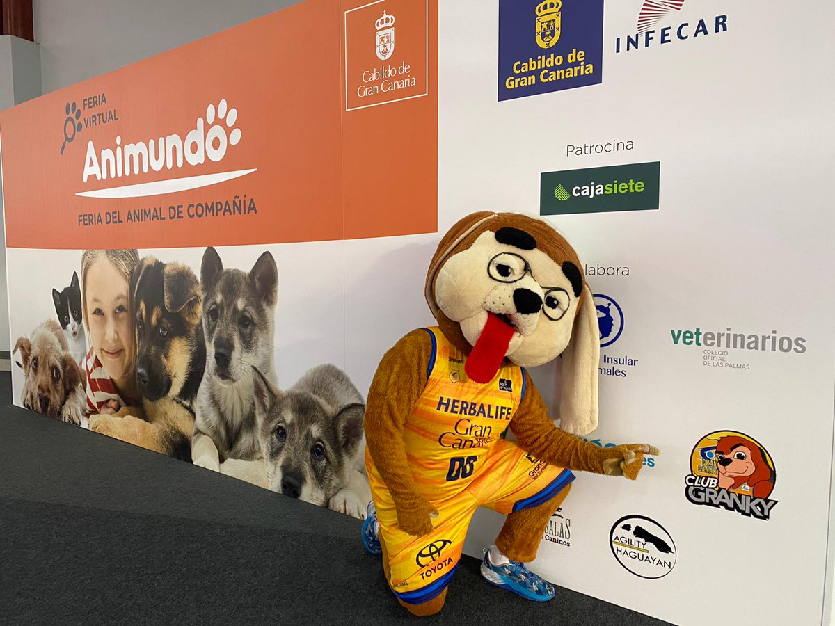 GranCanariaCB's tweet image. ¡Granky es el primero perro en desfilar por la pasarela de #Animundo! Él no está en adopción porque ya tiene casa, pero muchos de sus amigos aún no la tienen. Ven y adopta a un nuevo miembro de la familia 🐶

🔹 Tenencia responsable 
🔹 Abandono cero 
🔹 Hábitos de vida saludable