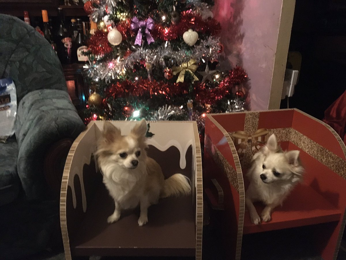 moonlightlady2's tweet photo. @dataimagegroup thank you so much for my fantastic prize , I absolutely love these chairs and my grandchildren will too , hey my daughters dogs have fallen in love with them also lol x, merry Christmas. x https://t.co/KayPMTw0or