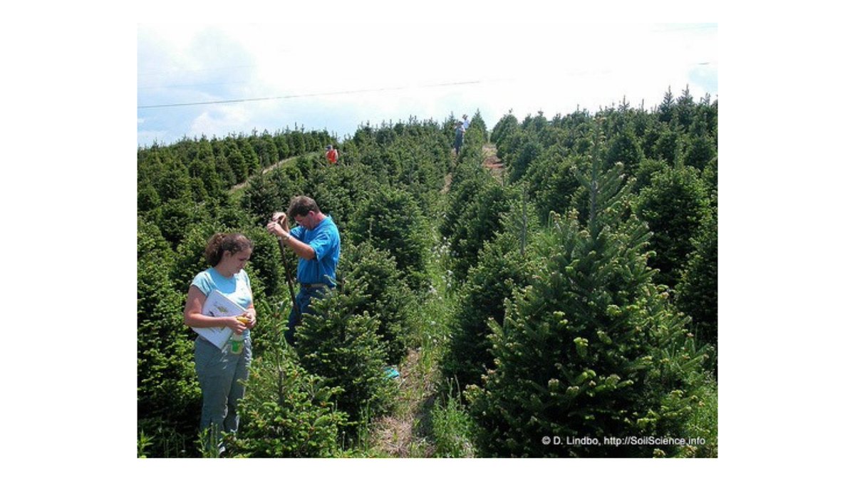 ForEverythingNC's tweet photo. Did you know that the NC General Assembly adopted the Fraser Fir as North Carolina’s official #Christmas tree? Fraser firs from NC have been selected as White House Christmas trees 13 times, most recently in 2018. https://t.co/EYs0FEdtqL
#everythingncdigital https://t.co/xbdoyfGTM1