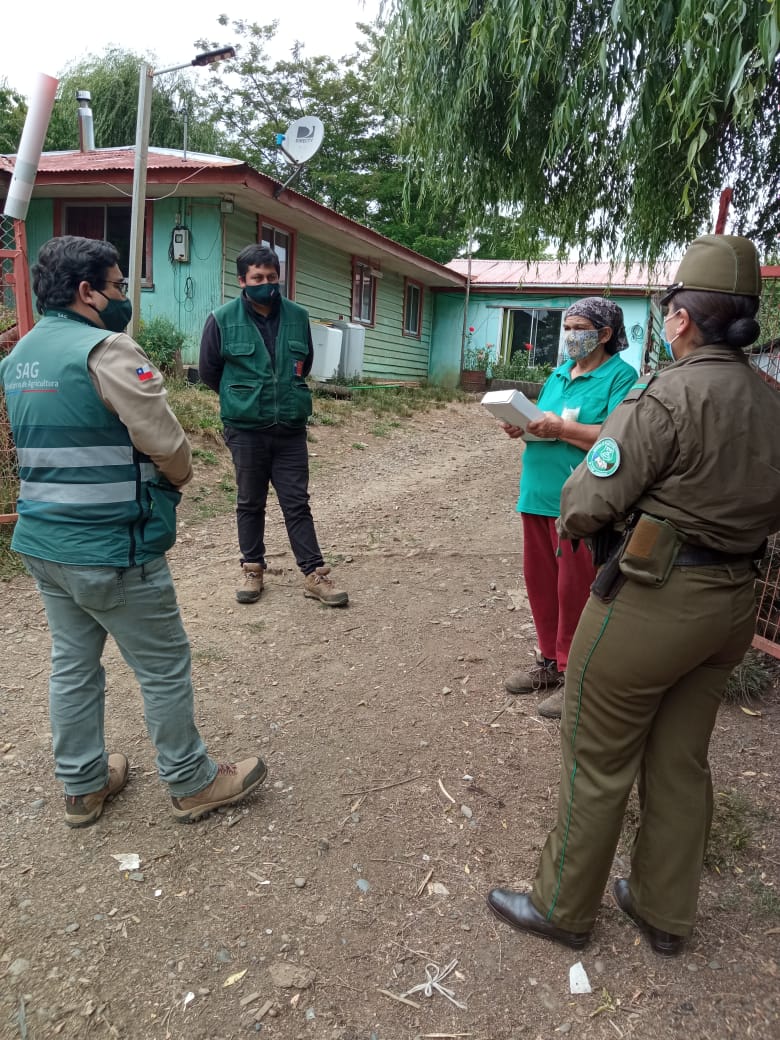 sagchile's tweet photo. Para prevenir el delito de abigeato @sagchile #Biobío y @Carabdechile visitan productores de #Arauco para recordar la importancia del uso del #FMA y la identificación de los 🐄 con su Dispositivo de Identificación Individual Oficial #DIIO https://t.co/i8DRDoNP0w