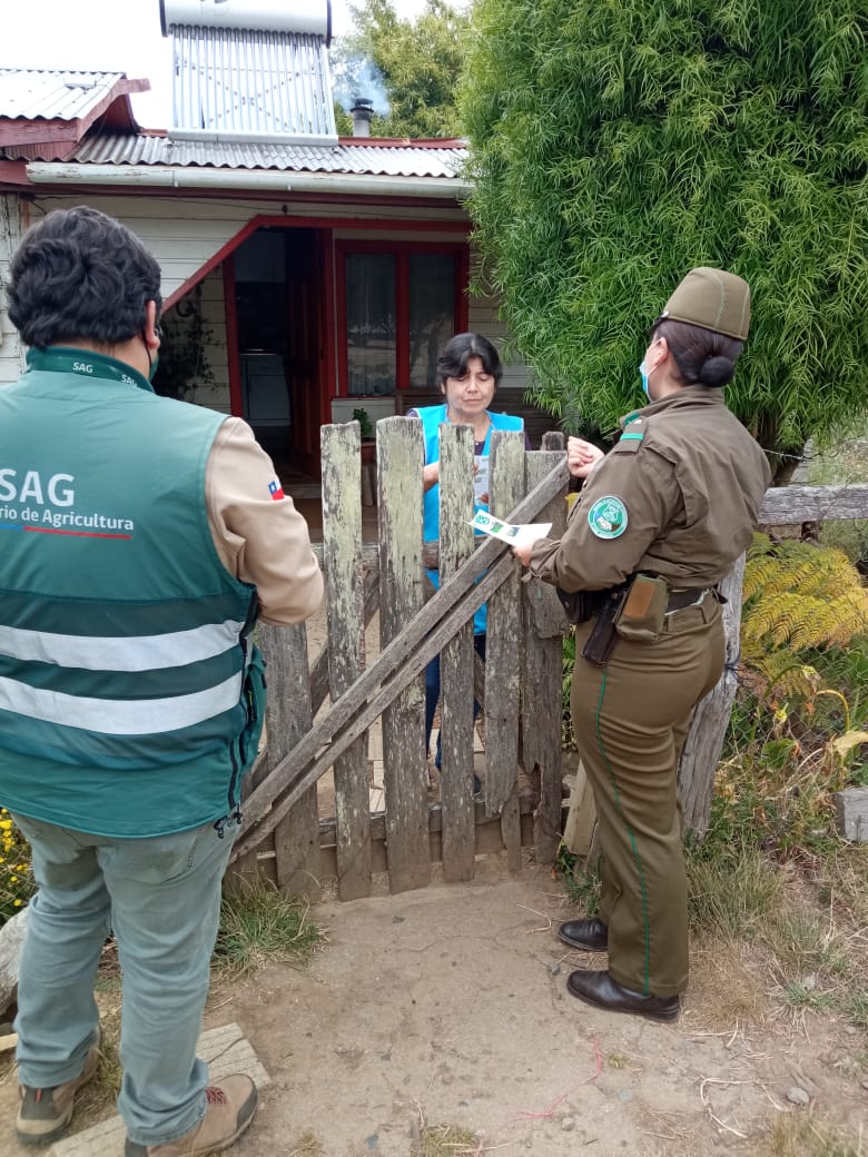 sagchile's tweet photo. Para prevenir el delito de abigeato @sagchile #Biobío y @Carabdechile visitan productores de #Arauco para recordar la importancia del uso del #FMA y la identificación de los 🐄 con su Dispositivo de Identificación Individual Oficial #DIIO https://t.co/i8DRDoNP0w