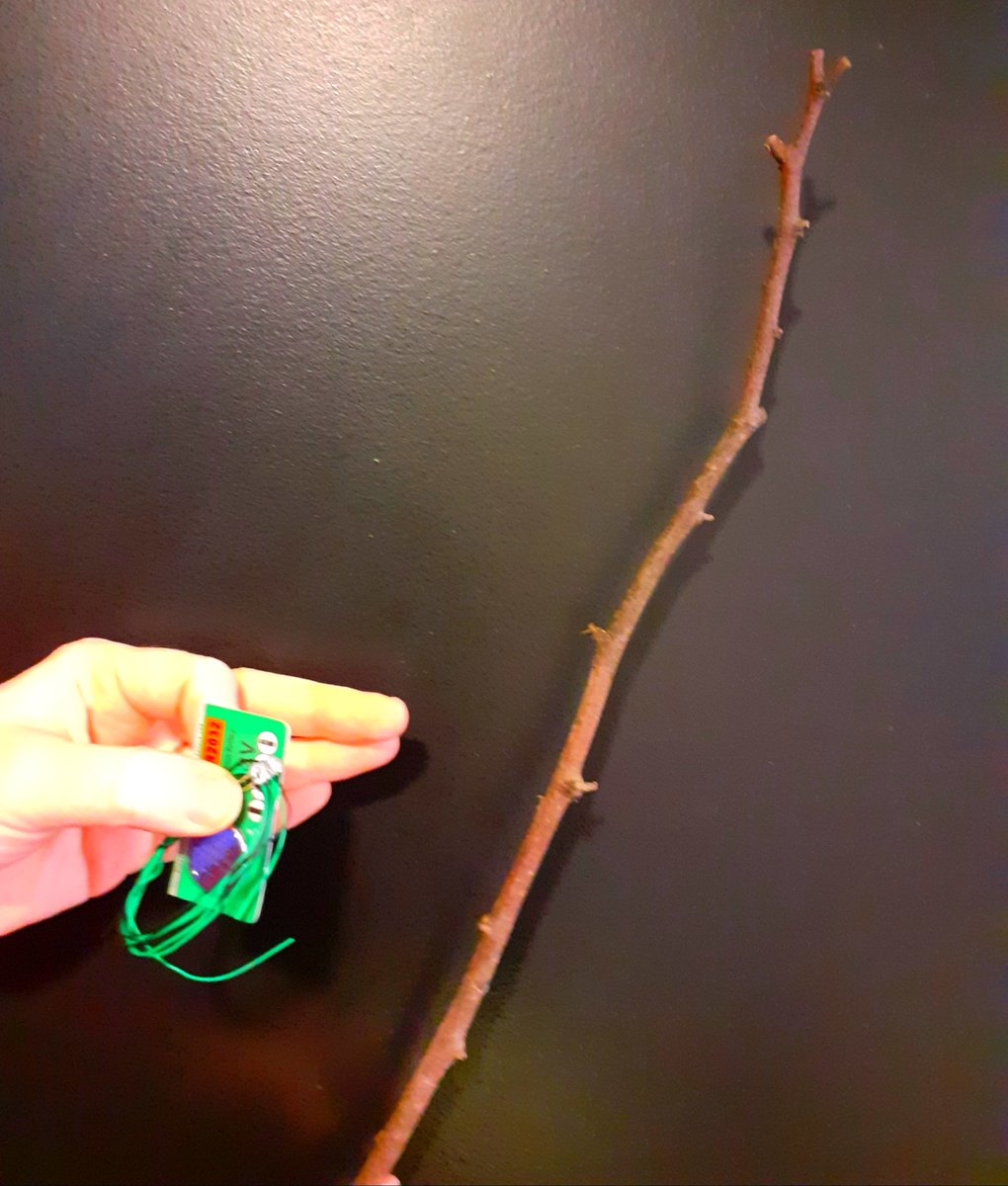 Avui,especial Nadal!!!A partir 17.30h,taller BiblioLAB #castelldefels en línia!!!"Vareta elèctrica #HarryPotter" amb <a href="/smartions1/">smARTions</a> a 
instagram.com/bibcastelldefe…