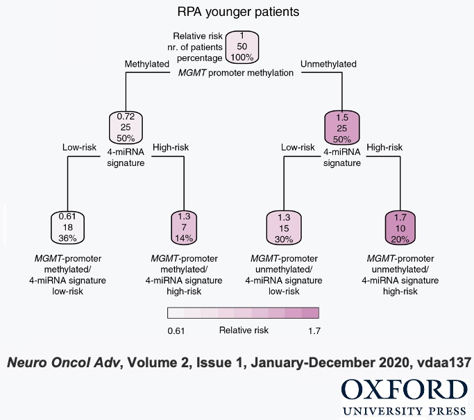 LMU_RadOnc's tweet photo. Combining a 4-miRNA signature with MGMT promoter methylation status leads to improved risk stratification in younger IDH wild-type #glioblastoma patients: K. Unger et al, https://t.co/QcajhV9joH
#Radiotherapy @HelmholtzMunich #MachineLearning #ClinicalDataScience https://t.co/nPLfe7dDRG