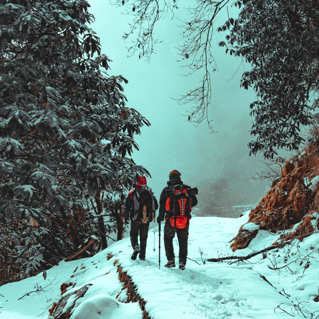 Are you ready for a snowy adventure? 🏔️

📸 credit:  @navneetoo7

#Quupe #QuupeLife #Rental #RentFilmGear #HireACamera #Canon #Sony #Nikon #Lens #Photography #Reflection #Capture #Shoot #HikingEquipment #SnowHiking #CameraOnRent #SnowTrekking #Vancouver #BritishColumbia