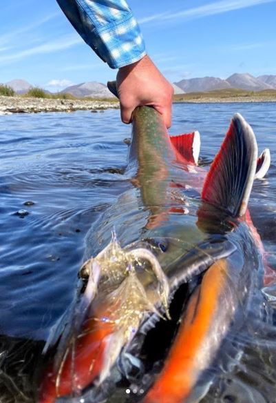 Fishwest tweet media