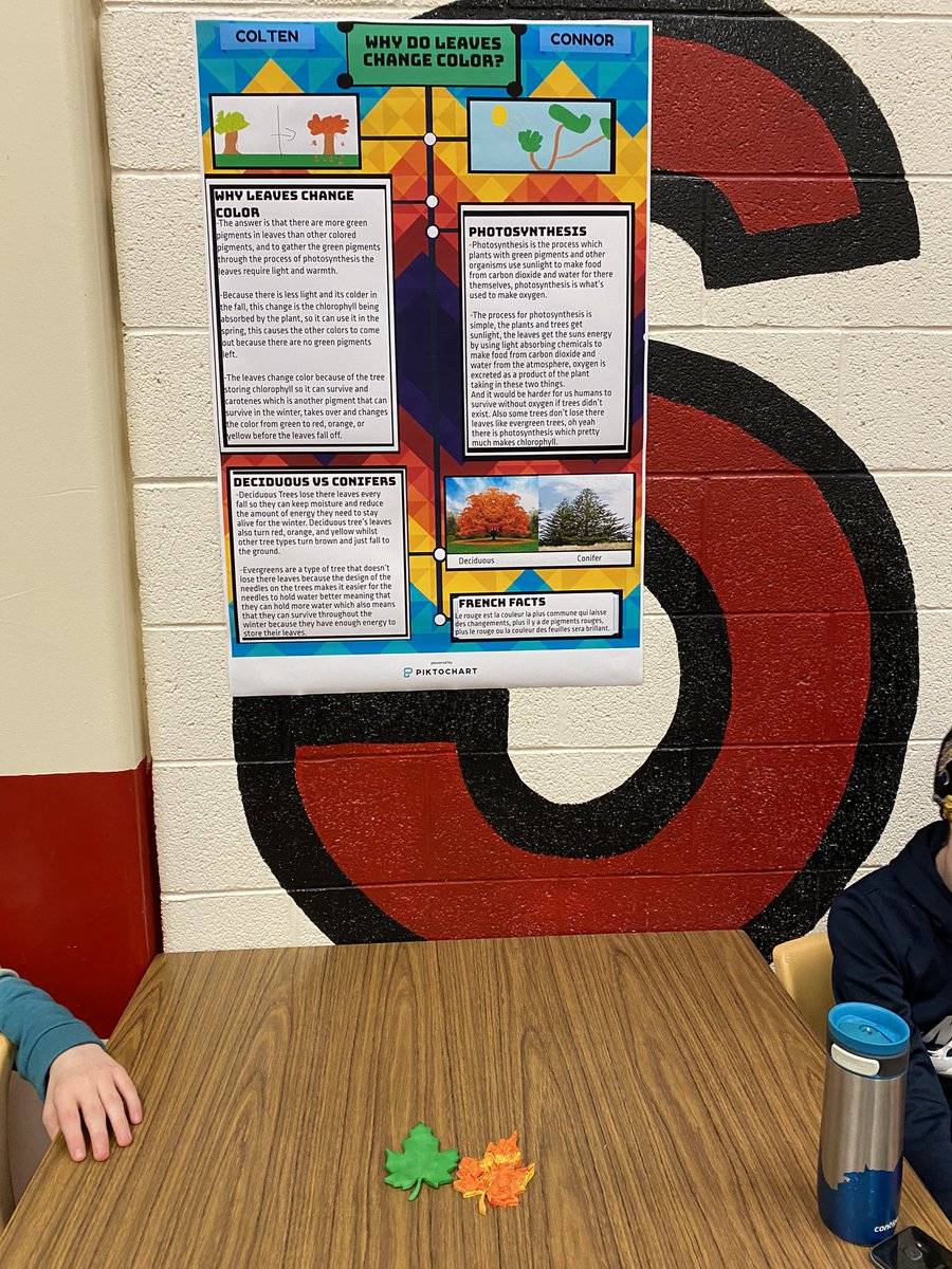 celine_gallien's tweet photo. Day 2 of the Wonder Walk took place today at RHS. So many awesome wonders! I can’t wait to see what these students come up with in the new year! @AnglophoneEast @Londyn_Irving @kjon52 #asdelearns https://t.co/cEE1vQCMkN