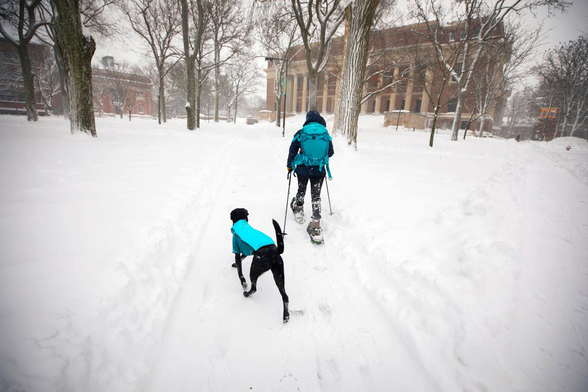 Harvard University tweet media