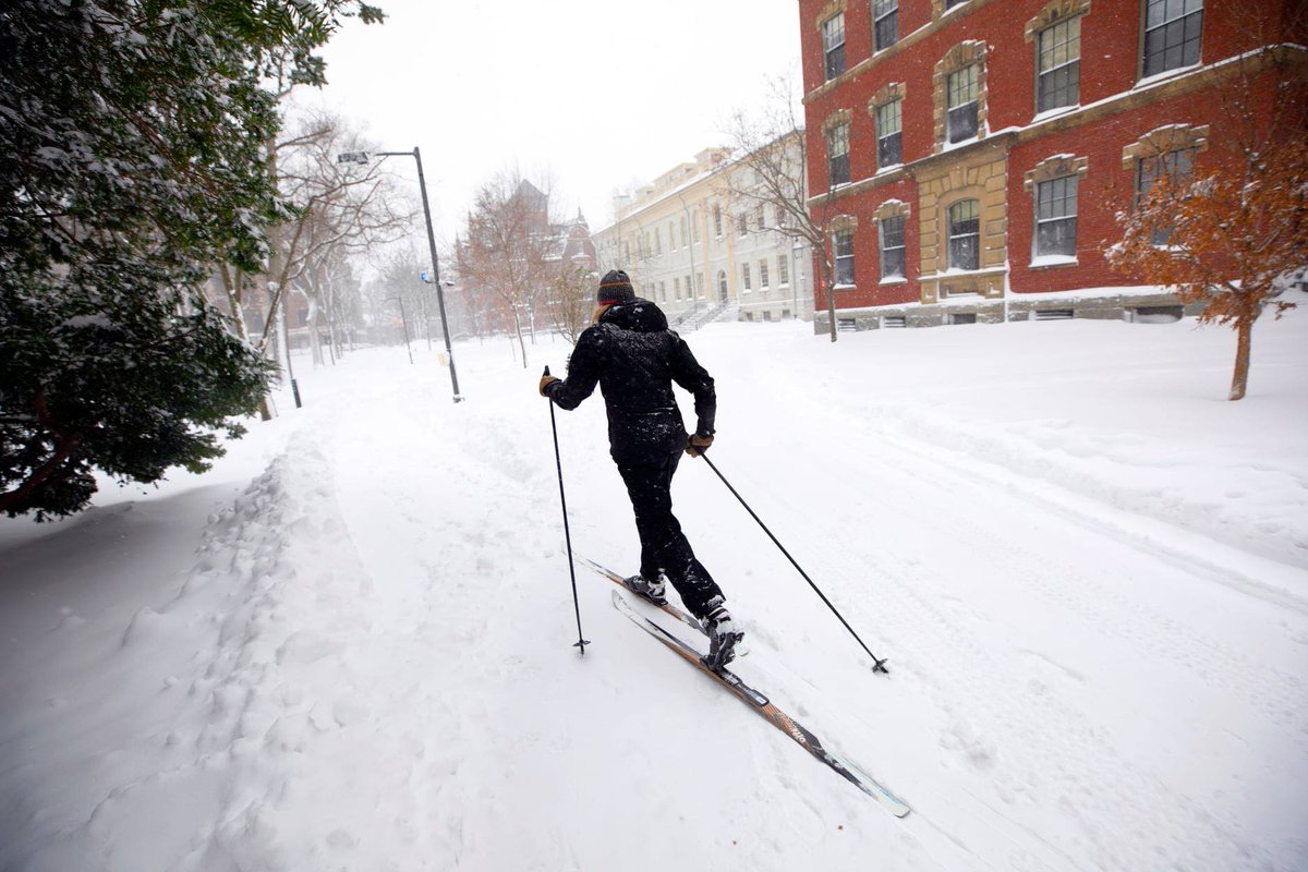 Snow-covered campus ❄️  #HarvardInWinter