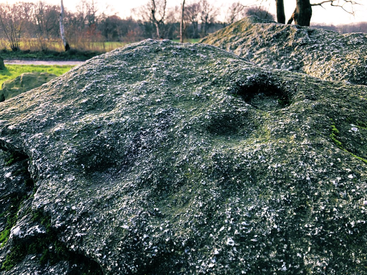 prehistoryRMO's tweet photo. D16 was excavated in 1918 by our former @RM_Oudheden employee Van Giffen and restored in the 1950s. It has an entrance portal and some stones remaining from the mound. One of the covering stones has little hollows interpreted as #cupmarks. These may have had a ritual purpose. https://t.co/S4uLgVhUJh