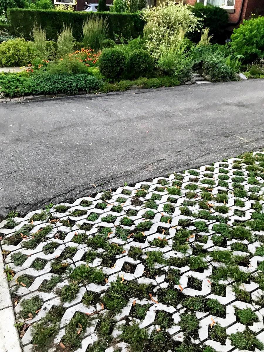 Green Roofs for Healthy Cities tweet media