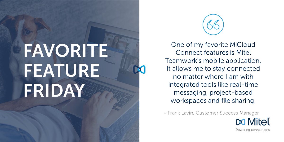 Mitel's tweet photo. What's your favorite feature of MiCloud Connect? https://t.co/1dWjmFpthY #cloudcomms #cloud #FavoriteFeatureFriday https://t.co/UrdgtKpsiR