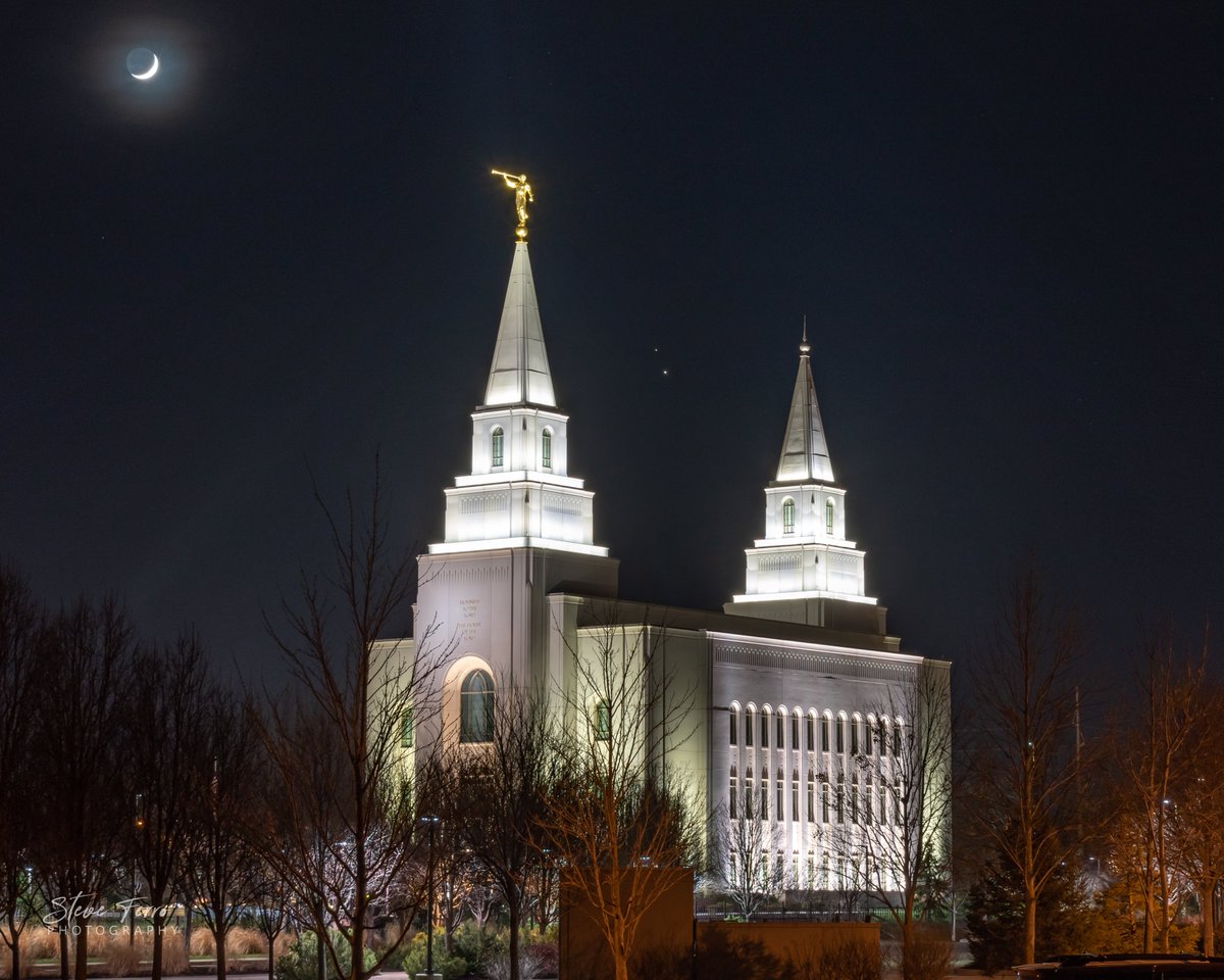 Steve Ferro tweet media