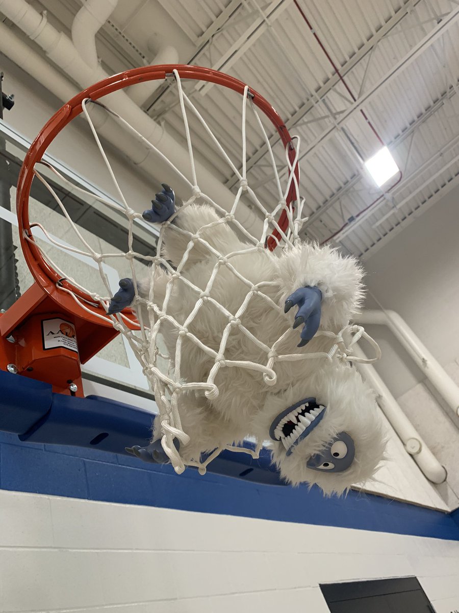 With the volleyball nets down Bumble tries to show his skills with the basketball.  Needs some work. 
#rumblewiththebumble
#lctitanhill
