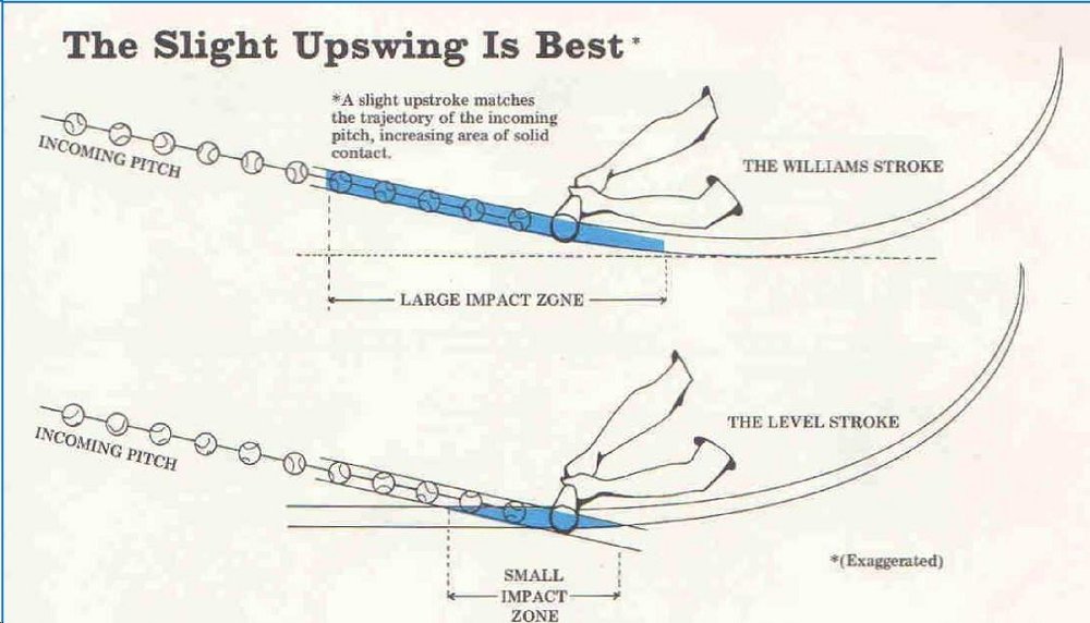 Before hopping into the gritty, often fought over topic of bat path, let me first establish some absolutesEveryone's bat path is uniquePath is largely dependent on location of the pitchA proper path should get the ball in the air, so swinging up is the best way to do it.