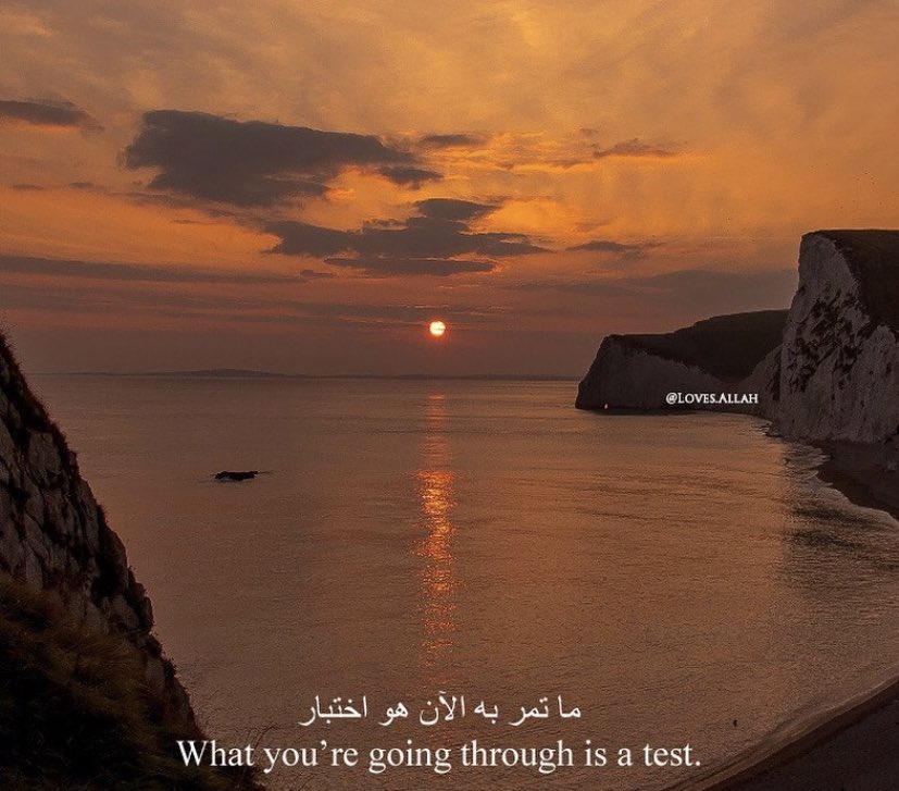 poeticcjabs's tweet photo. This was needed https://t.co/e6ddtmIpJm