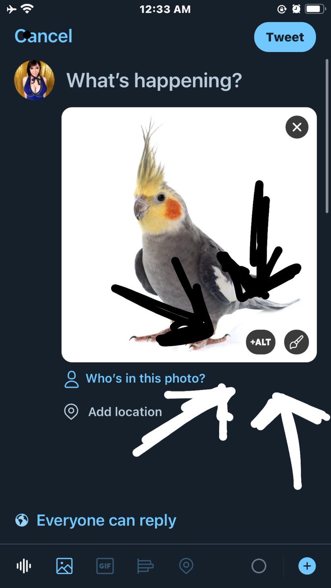 I see a lot of people ask “how do blind people use Twitter?” so lemme tell you!! Blindnesss comes in all shapes and sizes, accessibility for them is generally built into the phone or app! You can improve a blind person’s experience online by providing “alt text” to your images