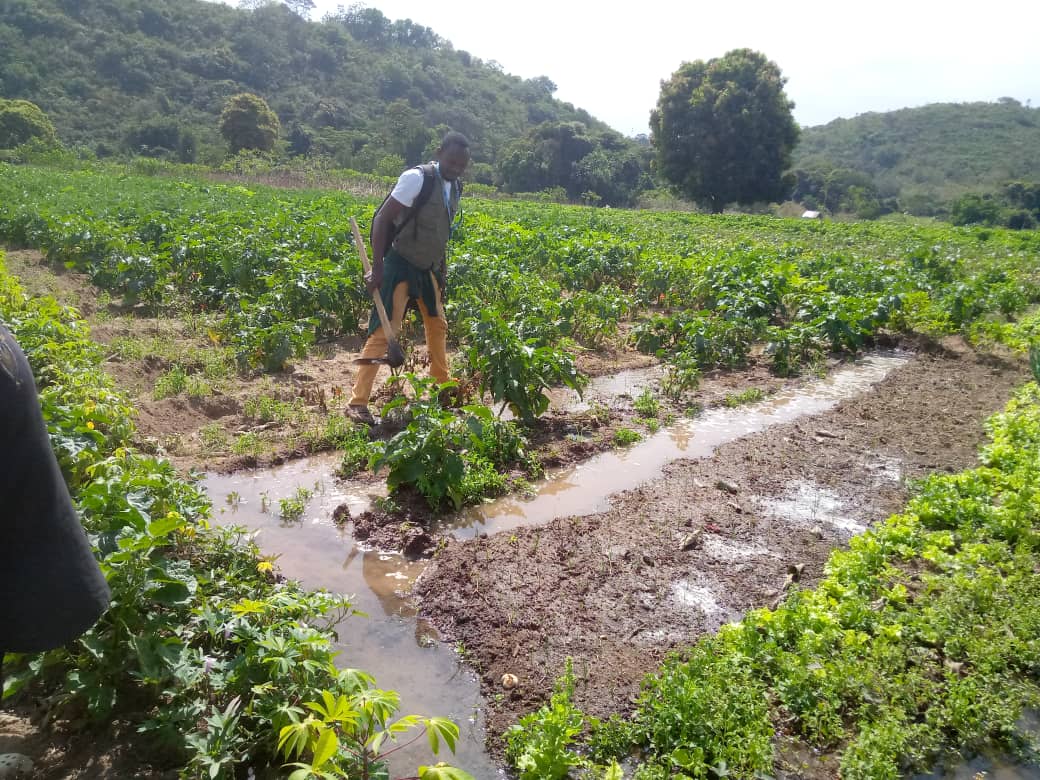 KANTESamba6's tweet photo. Malgré ce manque d'équilibre entre les zones urbaines et rurales,  elles arrivent à joindre les deux bouts. C'était l'étape de la ville de Pita
@pvnuguinee
@PNUDGuinee
@diengfk https://t.co/bz49GqKlxg