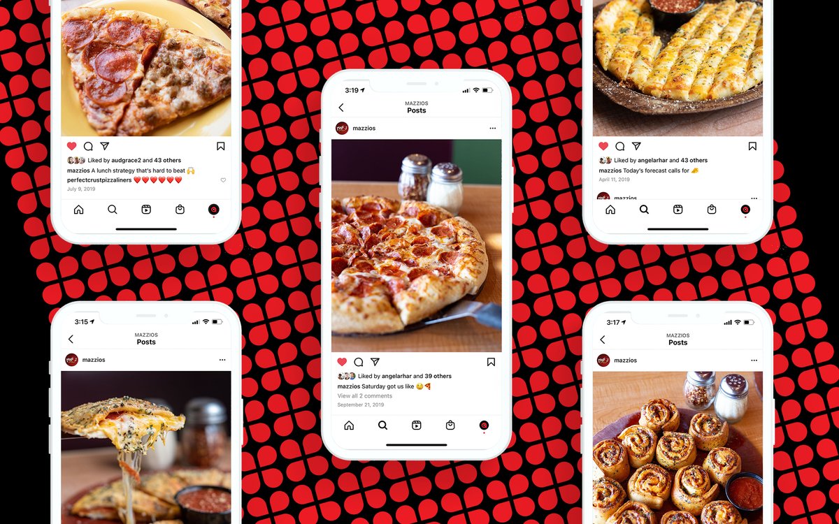 AcrobatAnt tweet media