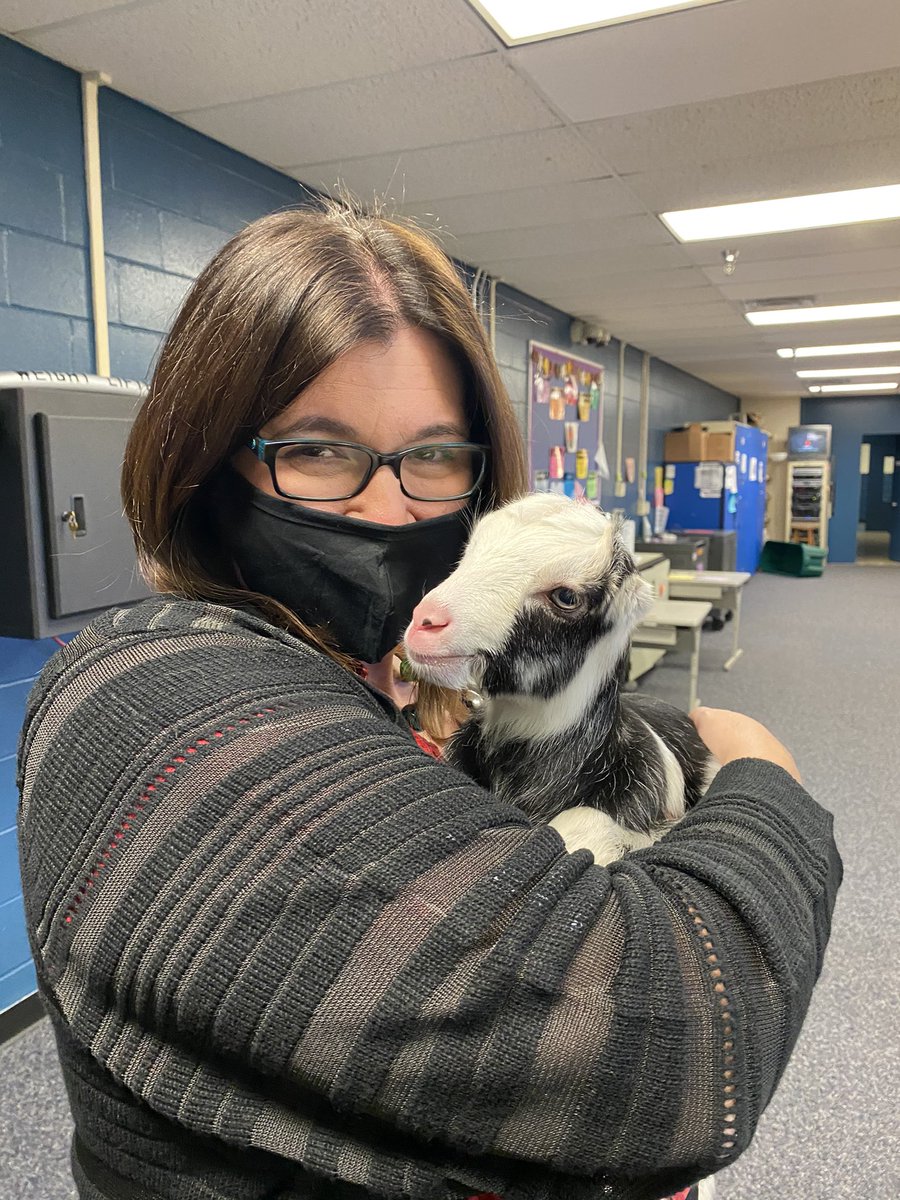 PineViewMiddle's tweet photo. Yes, there are perks to being a SAC liaison at PVMS. Thank you Vaughnette & Kelly for your help today @mhetzlernettles #lightupdecember #goathugs https://t.co/FvBUgOMKF6
