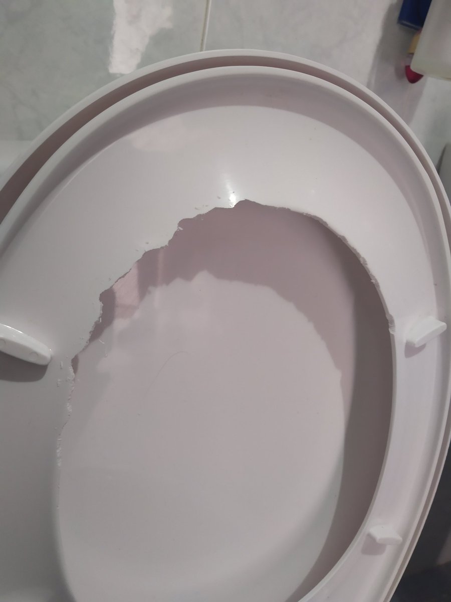 DesratizaSur's tweet photo. Tapa de inodoro afectada por mordedura de rata https://t.co/mkBOtqgKAR