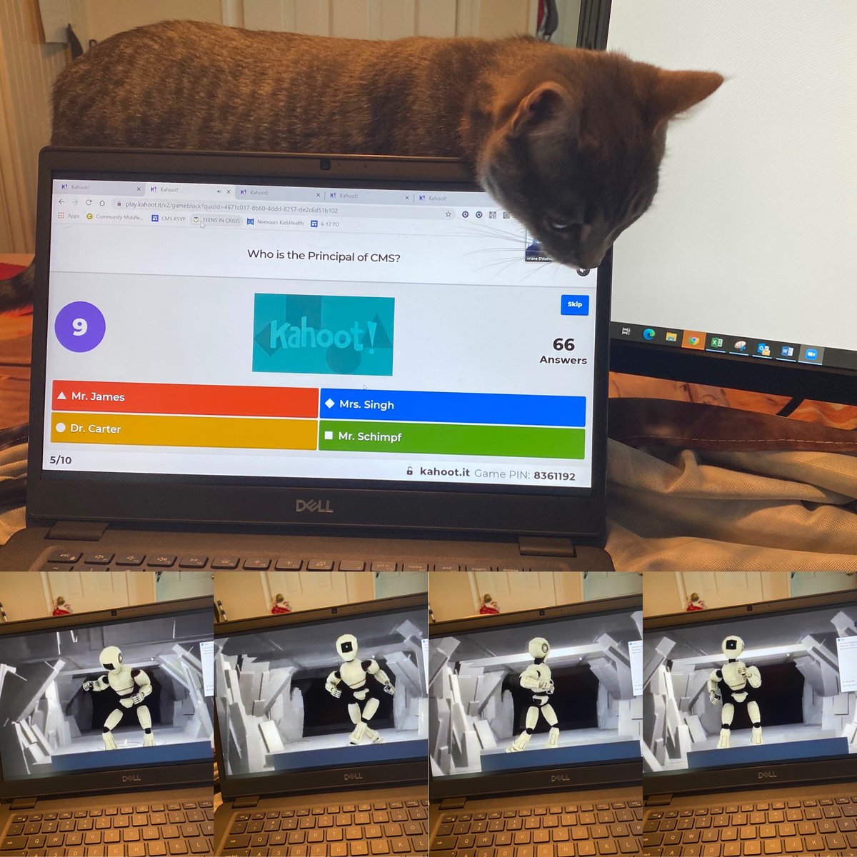 Great time at the CMS Winter Wonderland Ball!
@MrSchimpfCMS @mrssinghcms <a href="/Bec_Chirps/">R. McLelland-Crawley 🌻</a>