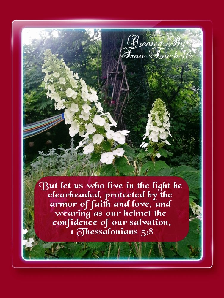 abideinthelight's tweet photo. Are you living in the light protected by faith and love? https://t.co/TFRdwZdghE