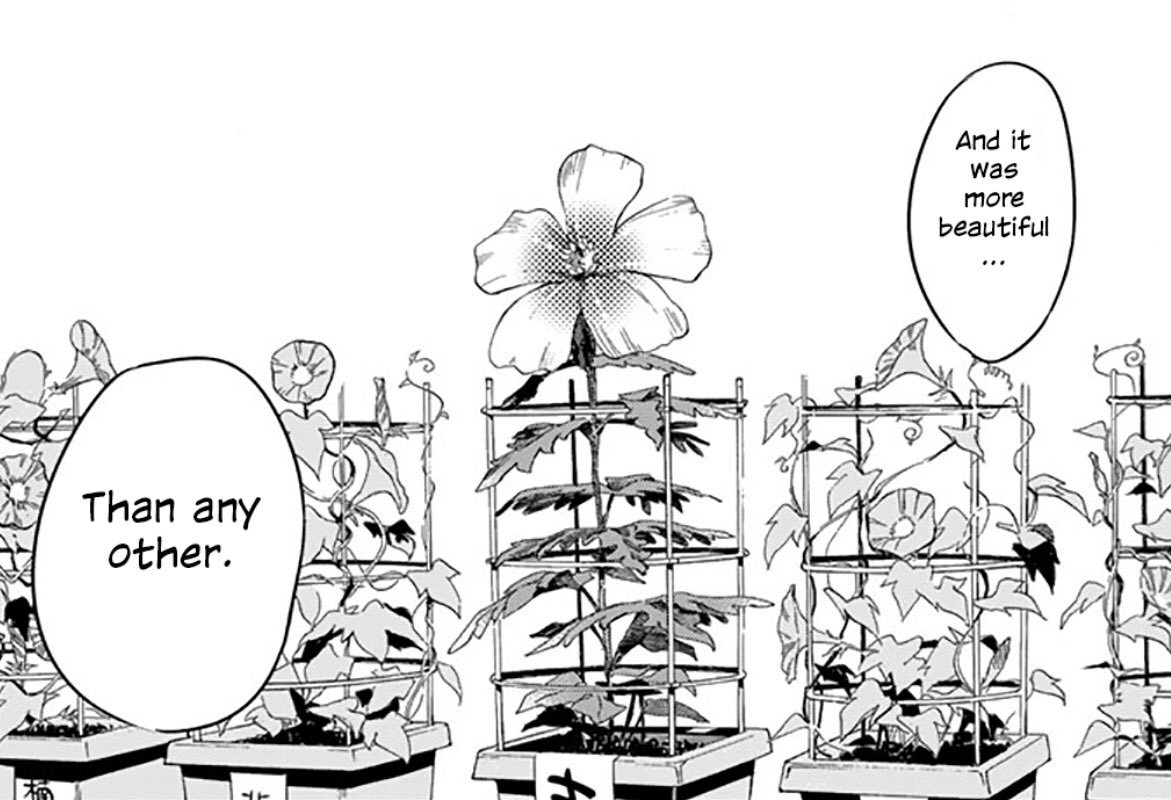 This resulted in Kazuya growing a completely different plant, but it stood out among the rest as a beautiful hibiscus flower. Kibe later explains that had he stopped watering that plant, it wouldn't have blossomed into the award-winning flower it turned out to be in the end.