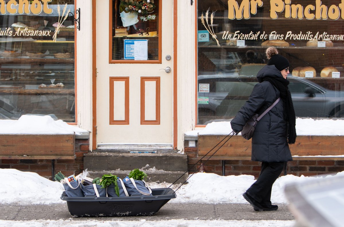 For those who think that sleds are only made to slide or to accompany you in your hunting adventures, think again! Sleds are very useful for going shopping in town, such as picking up all your Christmas preparations!
​
​#mypelican #pelicankayak #sled #utility #outdoors