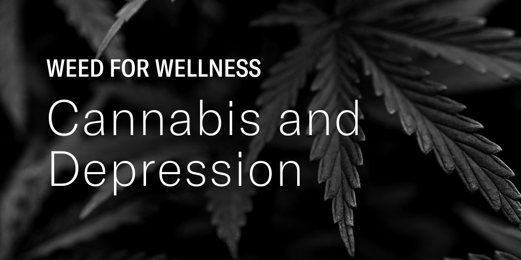 Leafly's tweet photo. Cannabis is used to treat depression by ✔️ enhancing mood ✔️ providing energy and focus ✔️ sparking appetite ✔️combating insomnia, and more: https://t.co/85lsNgjB2B https://t.co/Fsbb7tyIy5