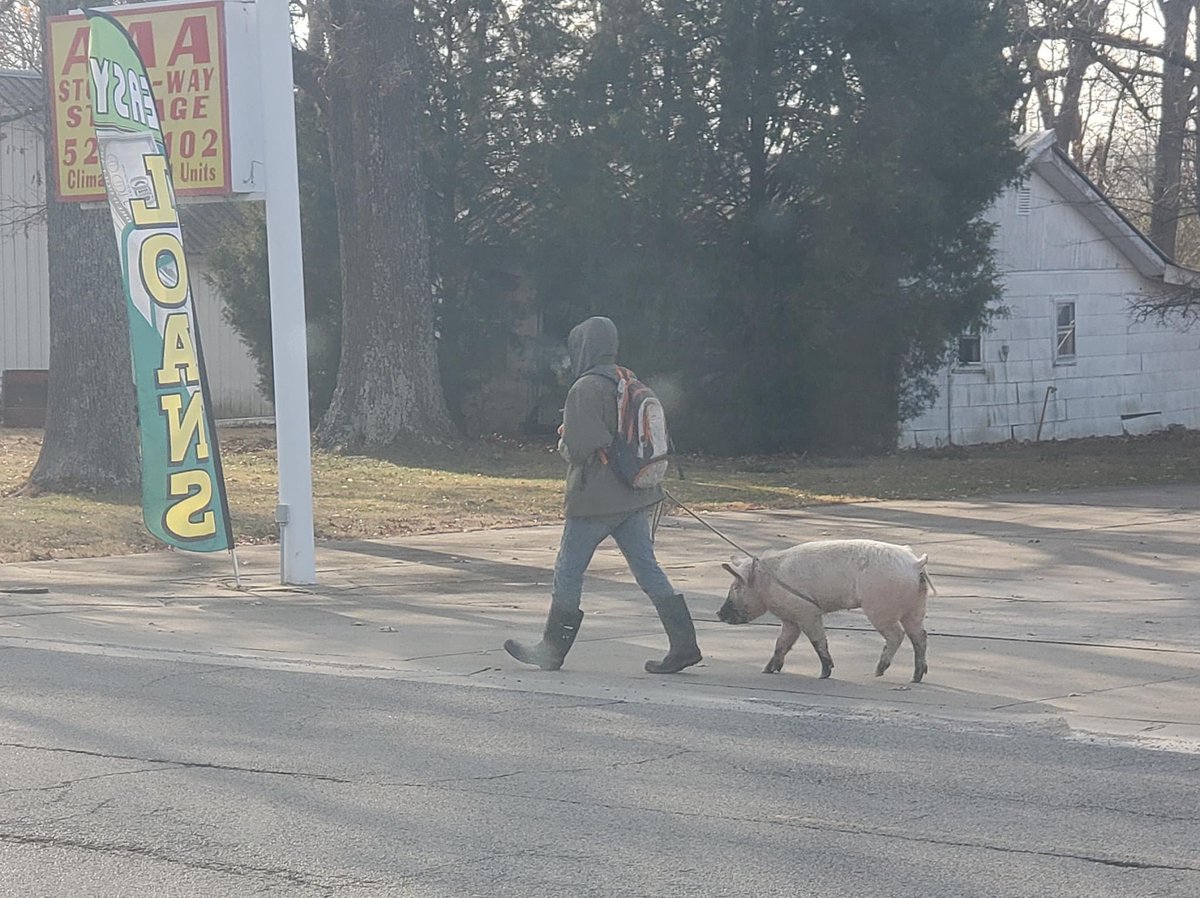 thompson20_17's tweet image. Where people THINK I’m from when I say I’m from Illinois vs where I’m REALLY from in Illinois