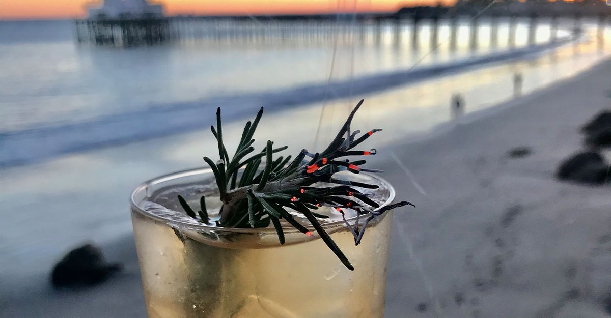 PineapplePassp1's tweet photo. Everything about this holiday rum cocktail recipe by Josh Curtis @mixingcocktails looks delicious!

“Everyday a Holiday” cocktail includes #rum, prosecco, falernum, and grapefruit.

Garnish with the activated rosemary. 🌴🥂

https://t.co/PPGHr2344a https://t.co/4NaSrO9MJw