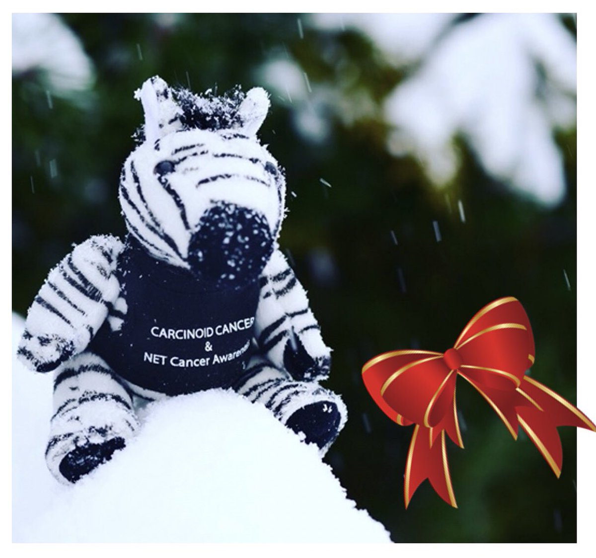 CarciNor tweet media