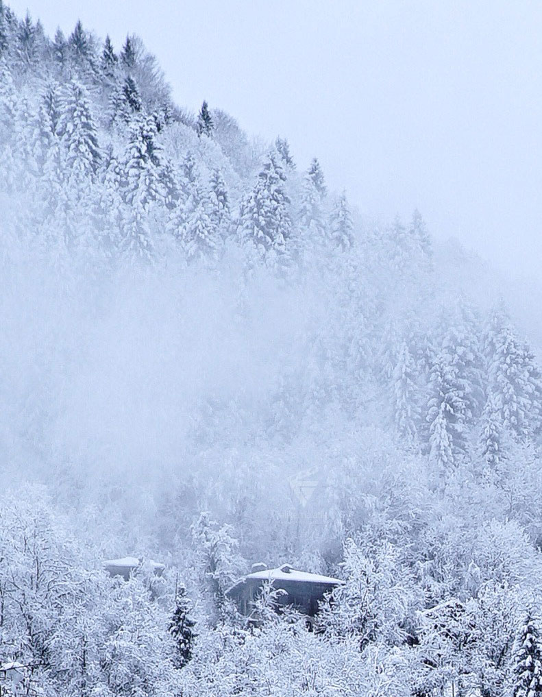 İnsan kışa özlem duyar mı? Ben onlardanım. Beyazın en saf hali. #Rize'de bir kış günü...