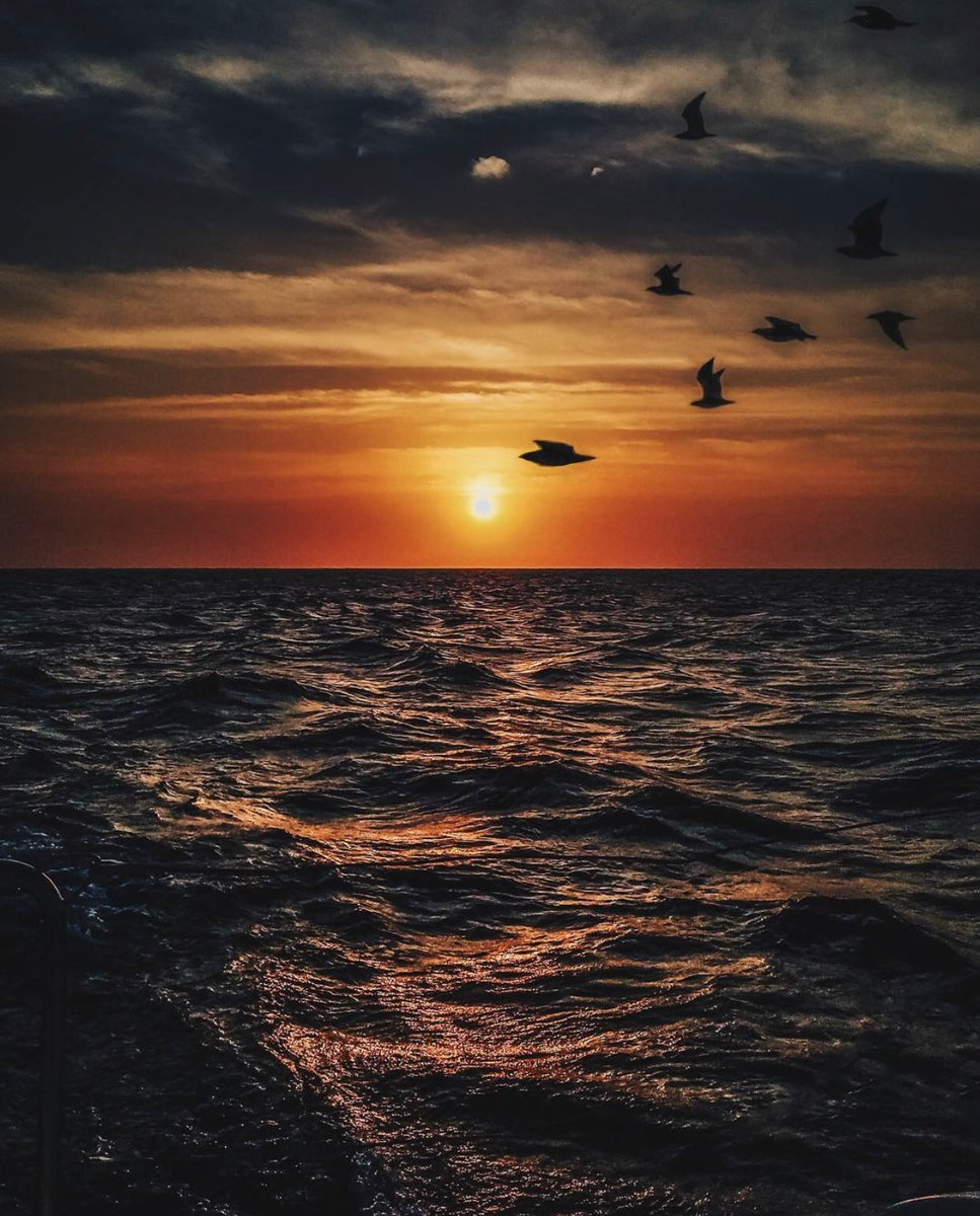 “benim heveslerim kursağımda kalmakla ünlüdür”