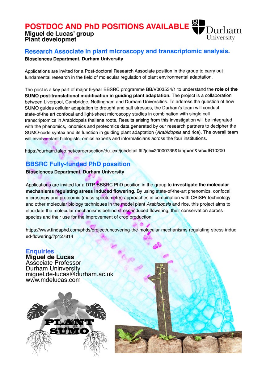 Playing a bit with photoshop to create a flyer with the Postdoc and PhD positions available in the lab. Please, share. Have a nice weekend!!