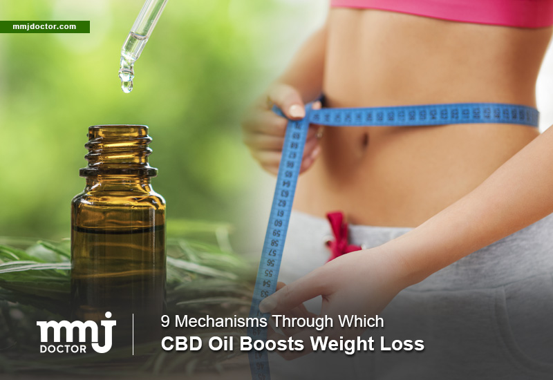 _MMJDoctor's tweet photo. According to statistics, 40% of adults in America are overweight. For the first time in history, obesity is reported to be the leading cause of the ever-decreasing life expectancy in the US. Hence the need for effective ways to lose weight. https://t.co/Y7evrRAVNO https://t.co/iJEvIhFIbL