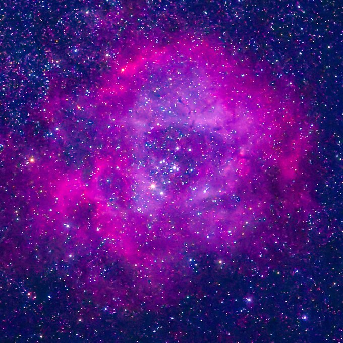 魔女の横顔のtwitterイラスト検索結果