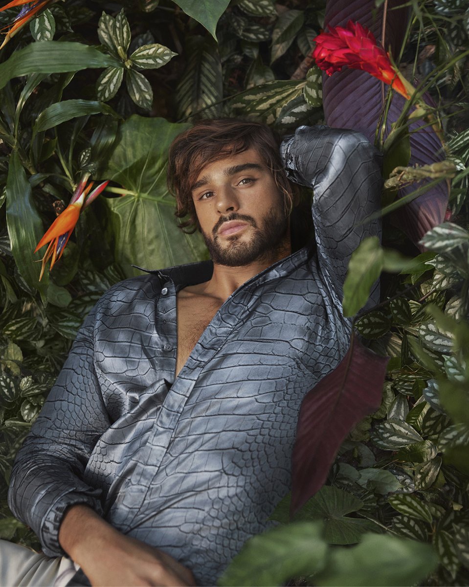 paradise roberto cavalli
