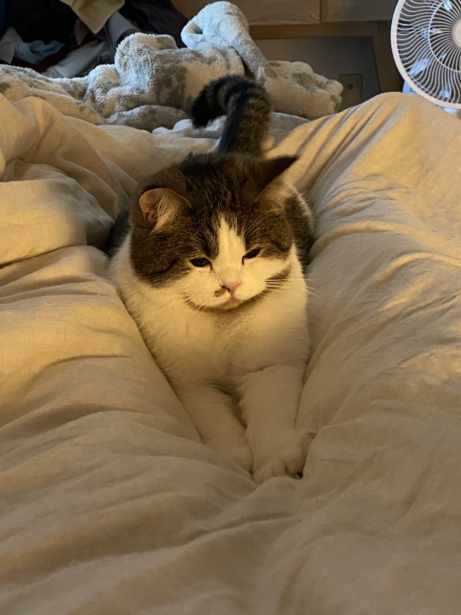 어떻게 이렇게 사랑스러울까