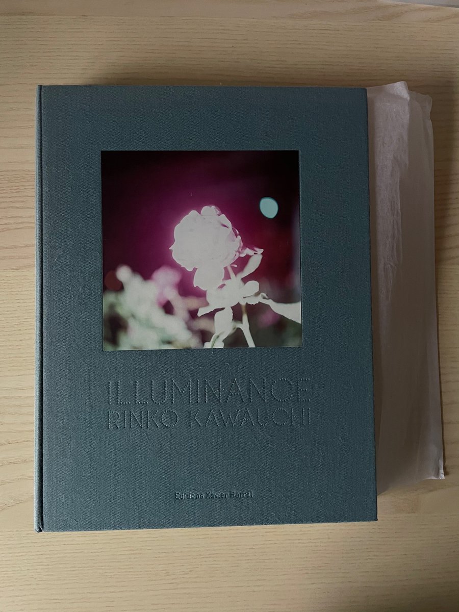 19. Rinko Kawauchi: Illuminance (Editions Xavier Barral, 2011)Have you ever been distracted by a shiny thing? Light spot? This is one of Rinko Kawauchi’s most personal books during 15 years of practice on the miracle of light of light and its powers.