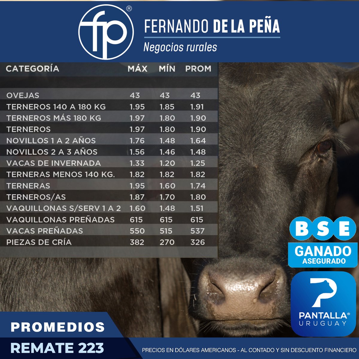 FPNegRurales's tweet photo. Les compartimos los promedios de la 223º edición de @pantallauruguay 
Última del año‼ https://t.co/5XKwJDWX60