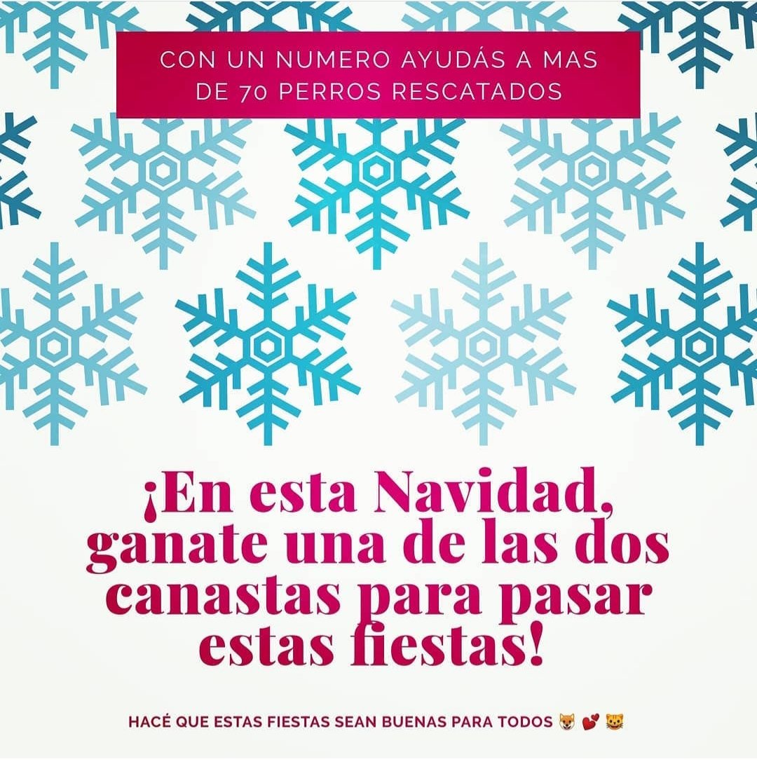 YA QUEDAN POCOS DIAS!!!🎉
Entérate los premios que podes ganar!! ⬇️⬇️⬇️ instagram.com/p/CIQwcXWAjtc/…