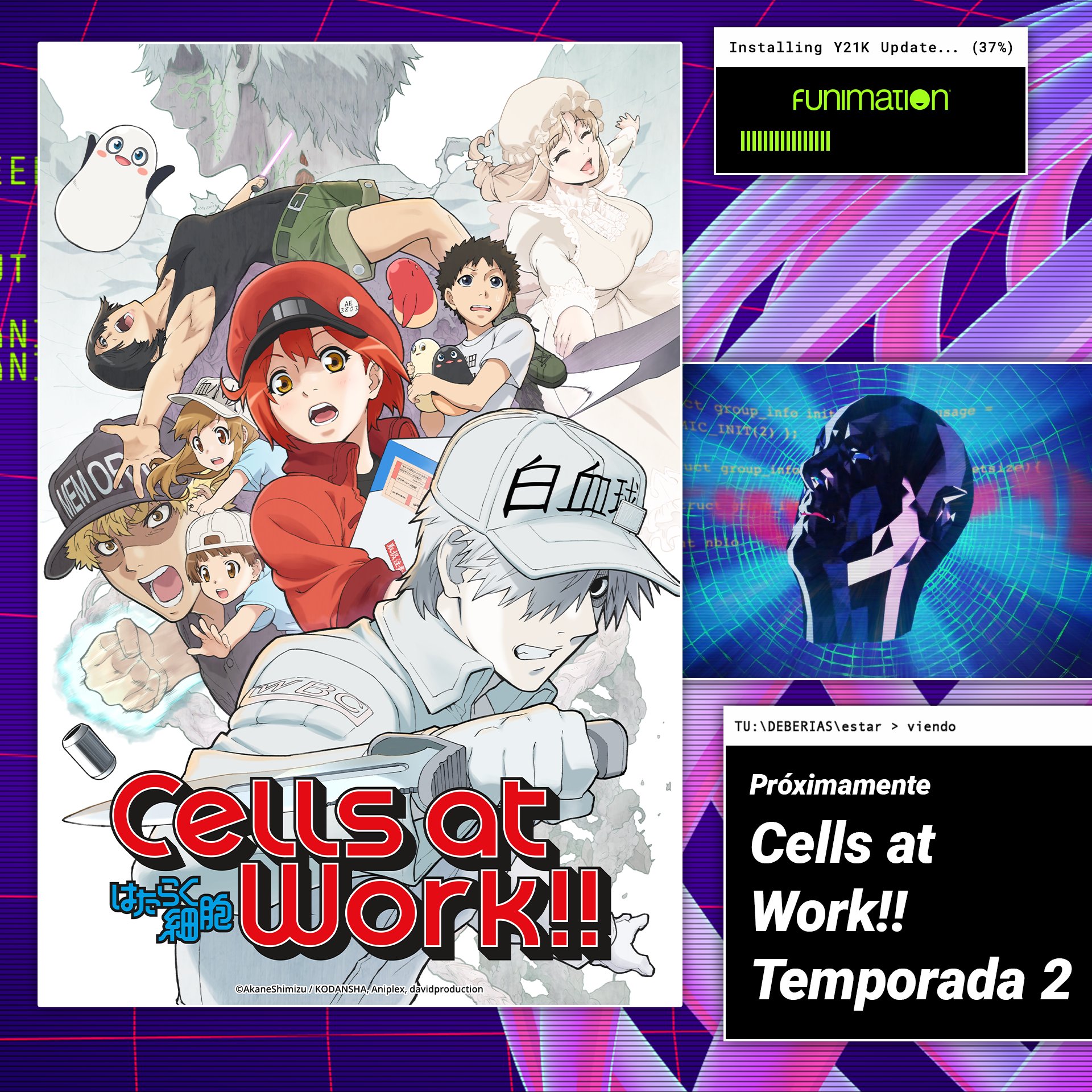 Funimation México - Cells At Work S2
