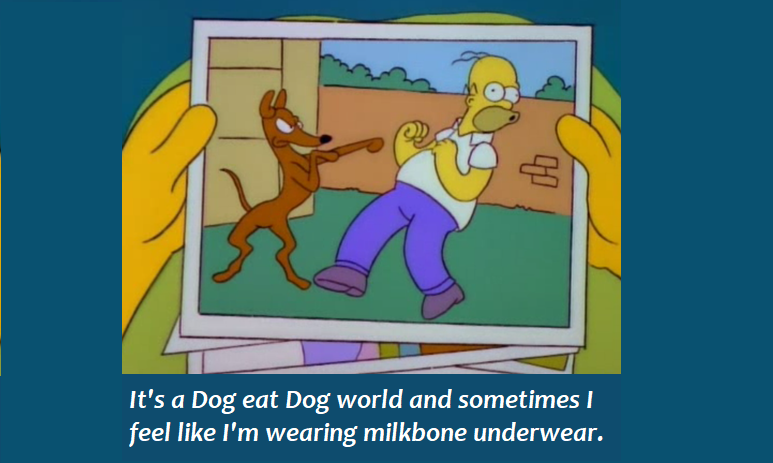Homer Simpson (@caveman444) on Twitter photo 