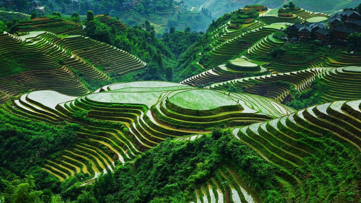 This type of landscaping is called terracing. The Rice Terraces of the Philippine Cordilleras have been designated as a UNESCO World Heritage Site because of the significance of this technique.